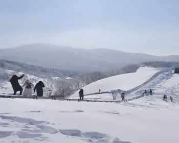 대관령 날씨&amp;#44; 대관령 양떼목장_6