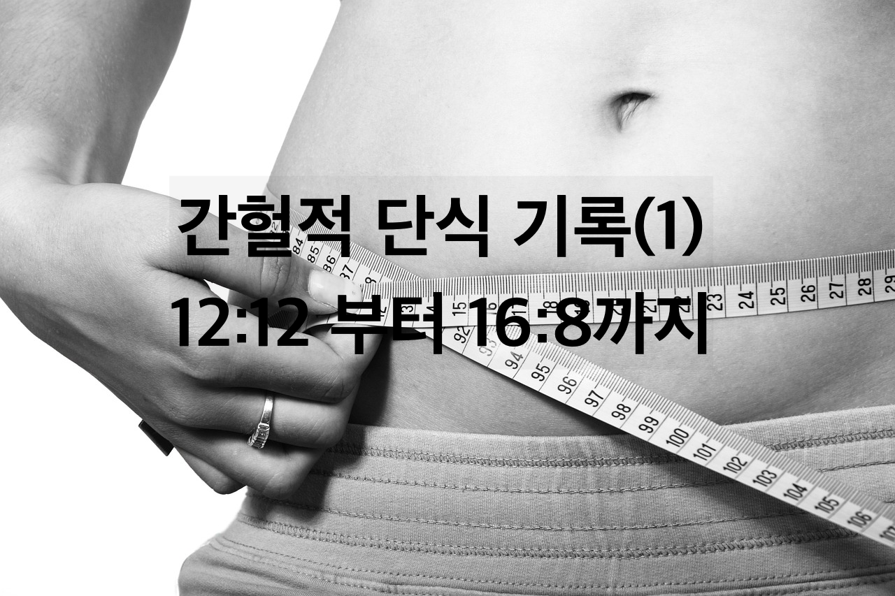  간헐적 단식 다이어트 기록일지 (1) _  다이어트의 시작 및 1달간의 변화기록