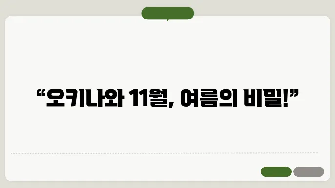 오키나와 11월 날씨