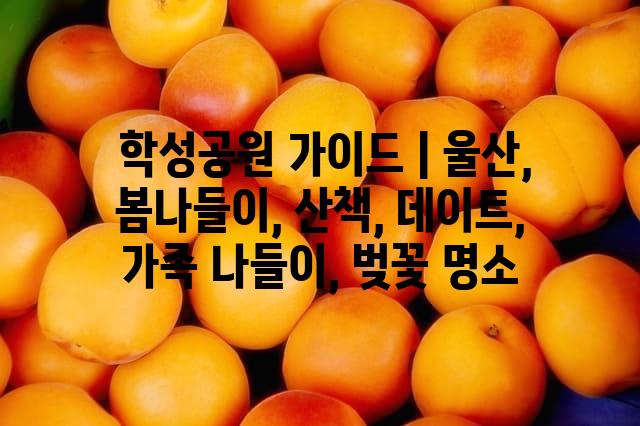 랜덤021