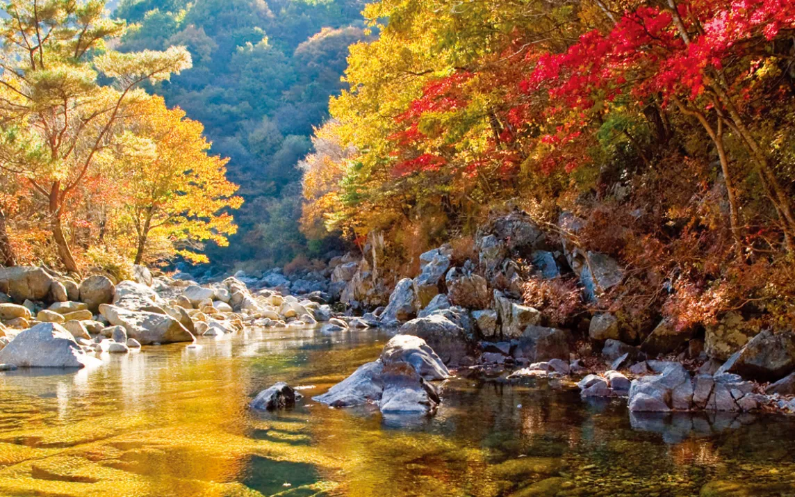 지리산 뱀사골 계곡