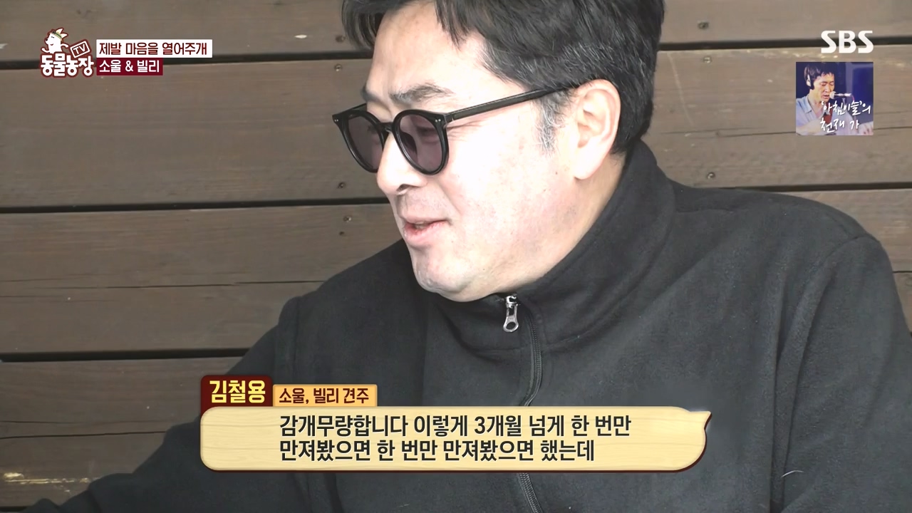 TV 동물농장.E1167.240415p-NEXT.mp4_20240414_160939.003.jpg