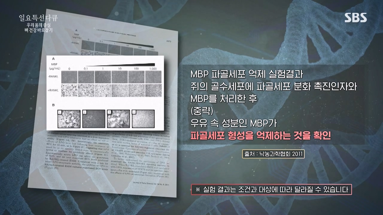 일요특선 다큐멘터리.E339.240205p-NEXT.mp4_20240206_204630.434.jpg