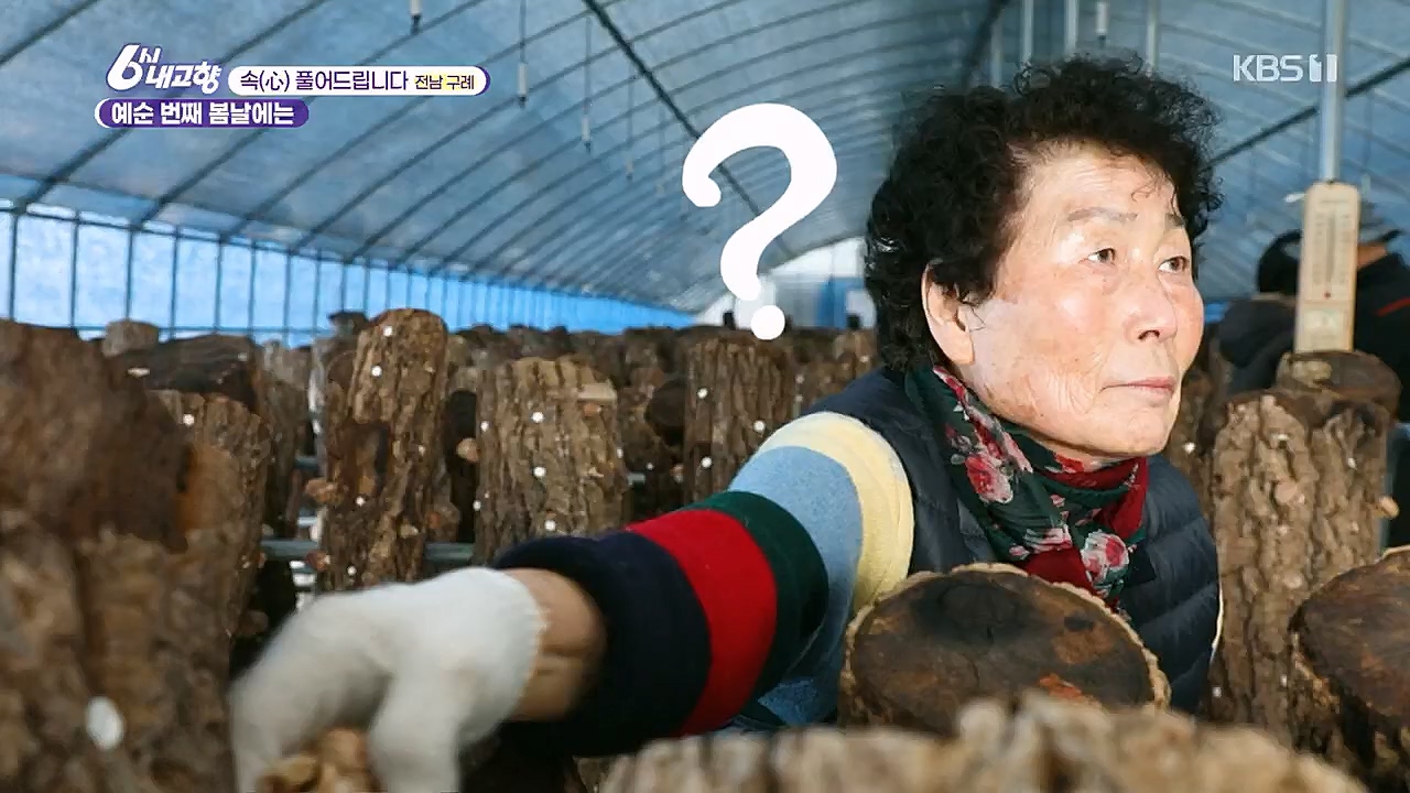 6시 내고향.E7744.230314p.H264-F1RST.mp4_20230314_175003.882.jpg