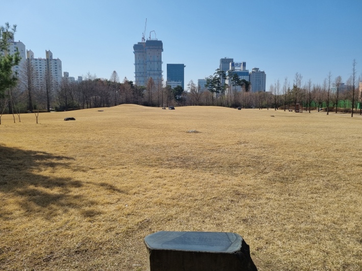 공원-잔디밭