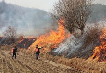 홍성 대전 산불