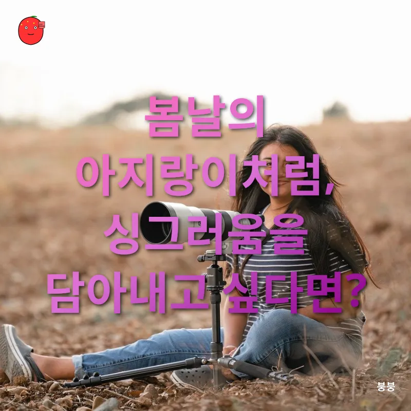 계절별 사진 촬영_1