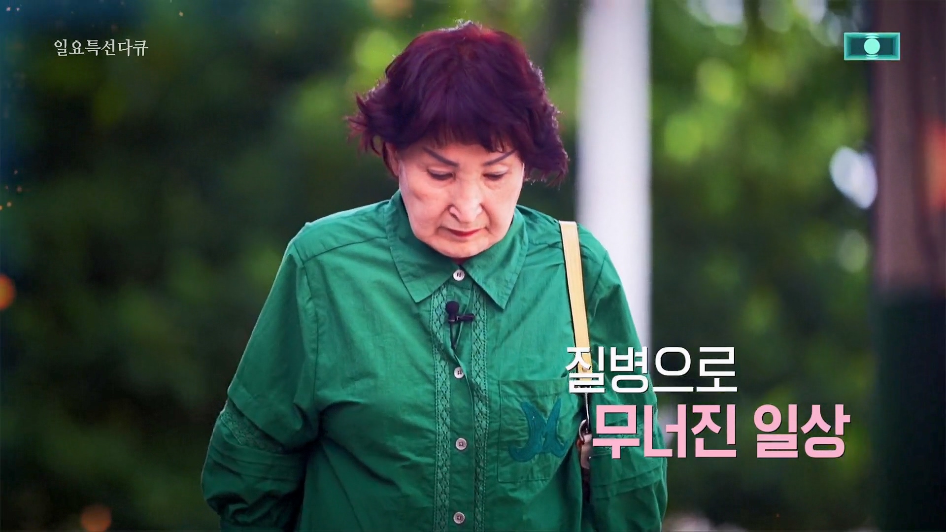 일요 특선 다큐멘터리.E319.230910p.H264-F1RST.mp4_20230918_200758.411.jpg