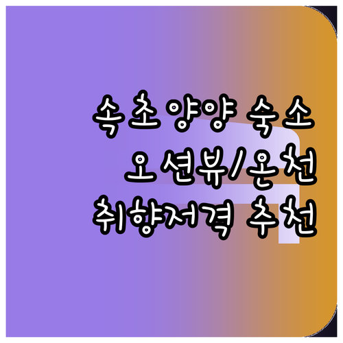 양양 속초 인근 숙소 총정리 오션뷰 