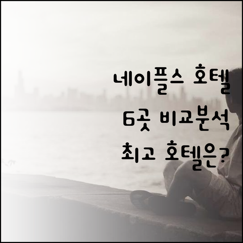 네이플스 호텔 6곳 비교분석 완벽 정