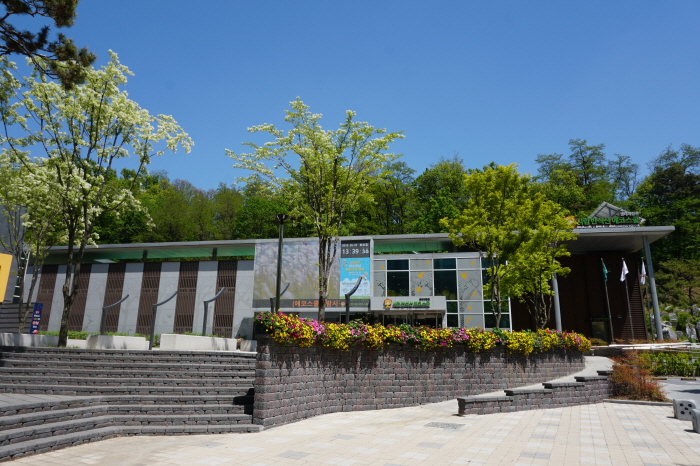 에코환경 이미지