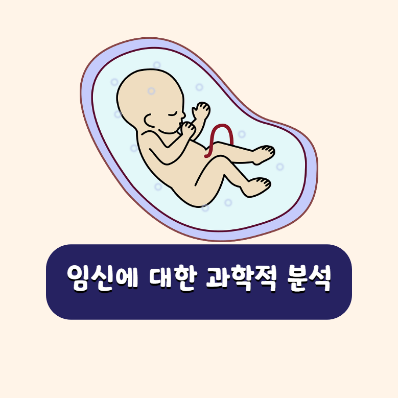 임신에 대한 과학적 분석 글 표지