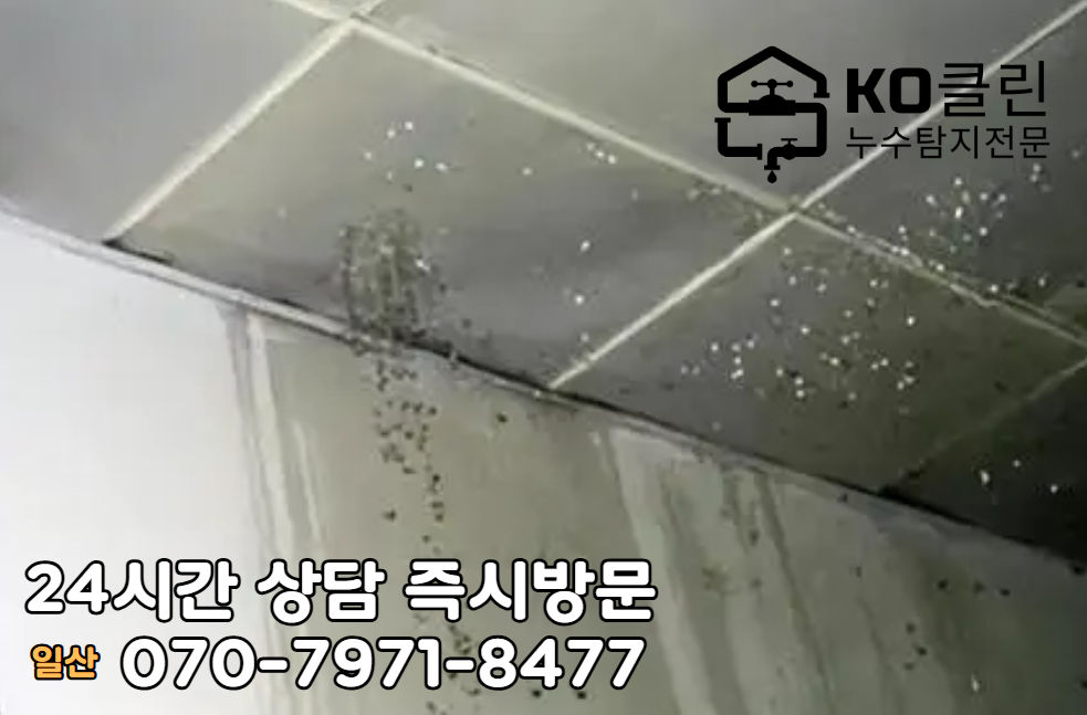 일산 중앙시장 인근 화장실2