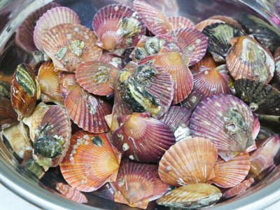 가리비 효능 10가지 15