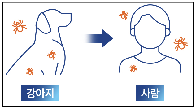 프론트랑인 사진2