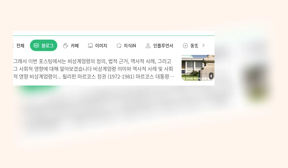 비상계엄령의 사회적 영향_1_subsection