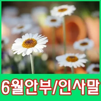 6월 인사말 모음집 이미지 문구 이미지 모음_8