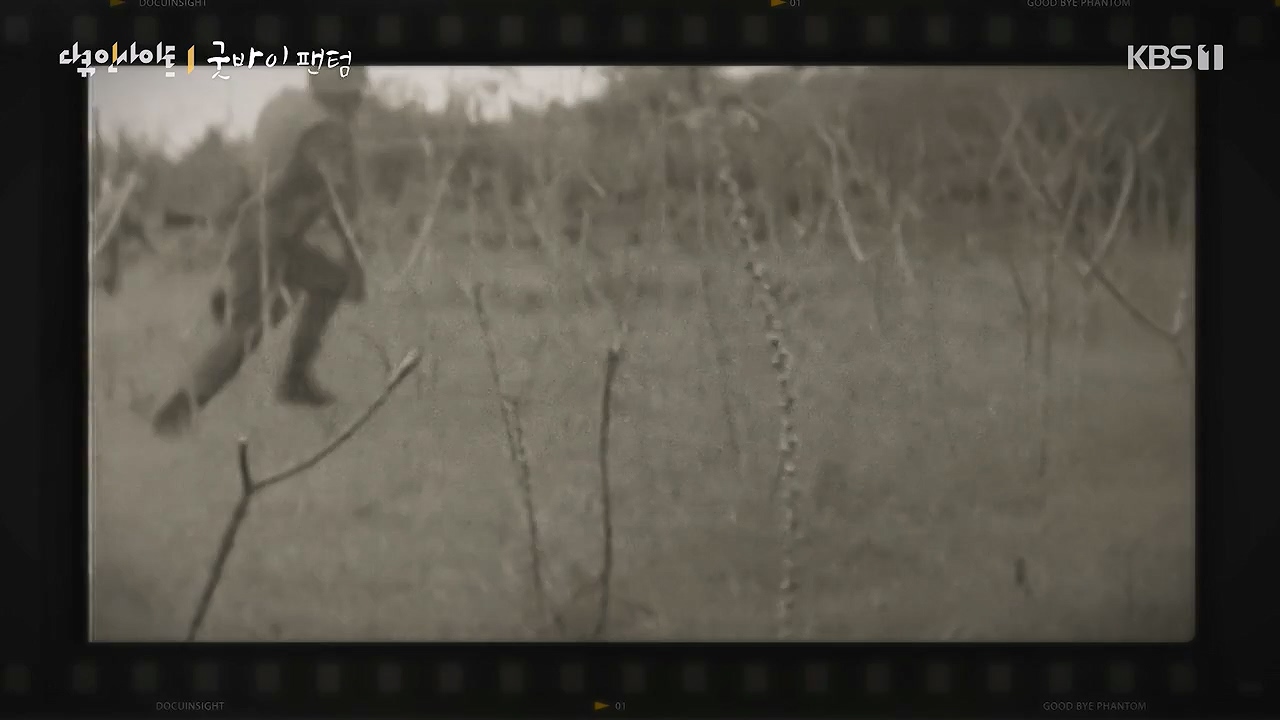다큐 인사이트.E193.240621p-NEXT.mp4_20240621_205121.688.jpg