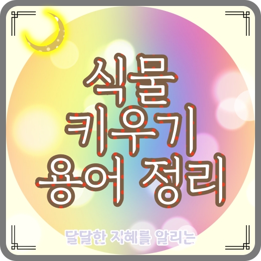 식물 키우기, 가드닝, 원예 시작! 초보자를 위한 관련 용어 총 정리
