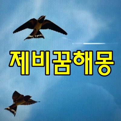 제비꿈