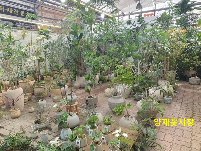 온/오프라인 교류 확대 및 창의적 아이디어 축적 효과