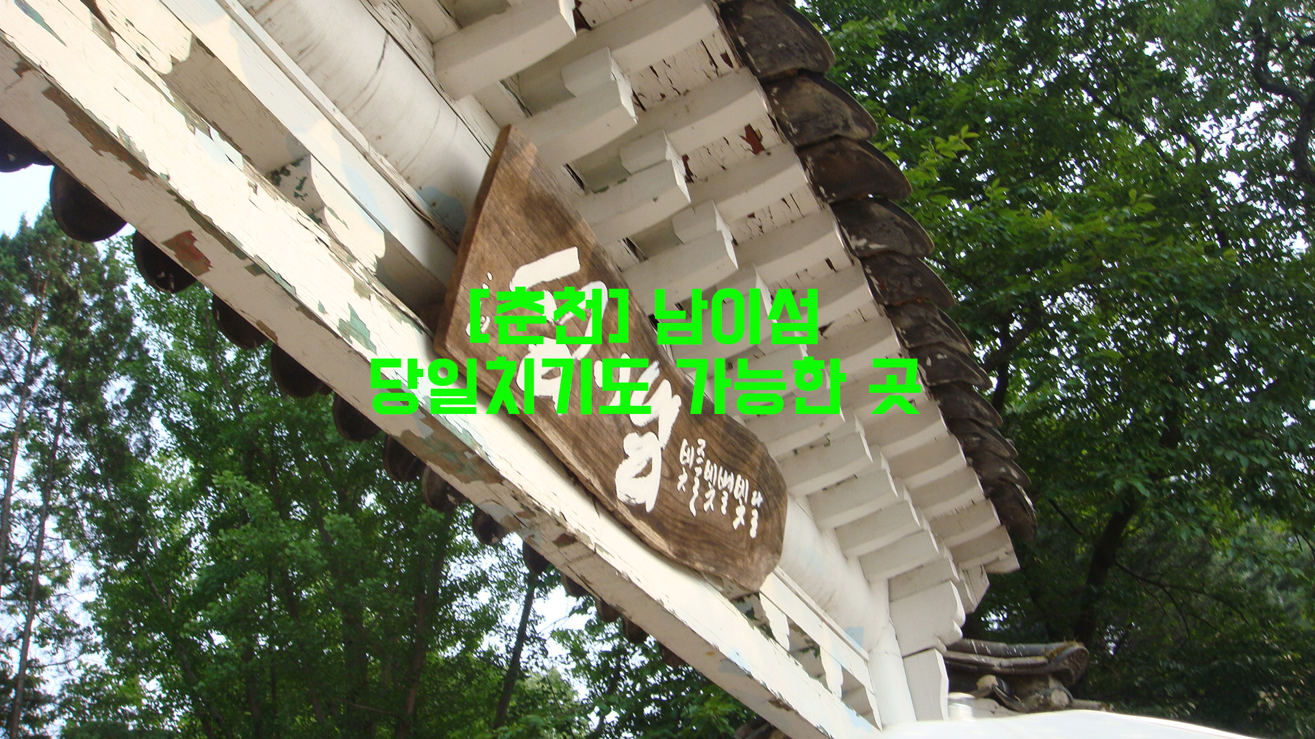  [춘천] 남이섬…당일치기도 가능한 곳