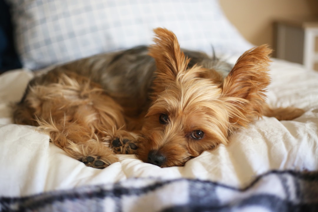 Hypoallergenic