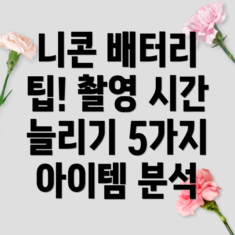 니콘카메라촬영시간극대화배터리절약아이템5가지분석