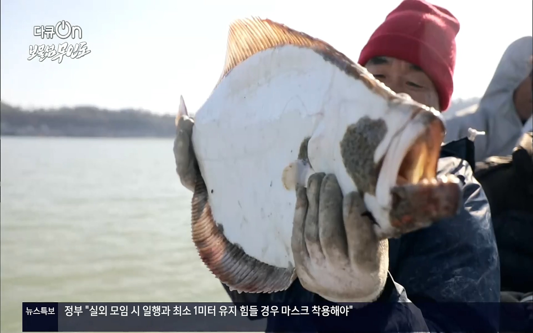 다큐 On.E141p.H264-F1RST.mp4_20220530_202716.293.jpg