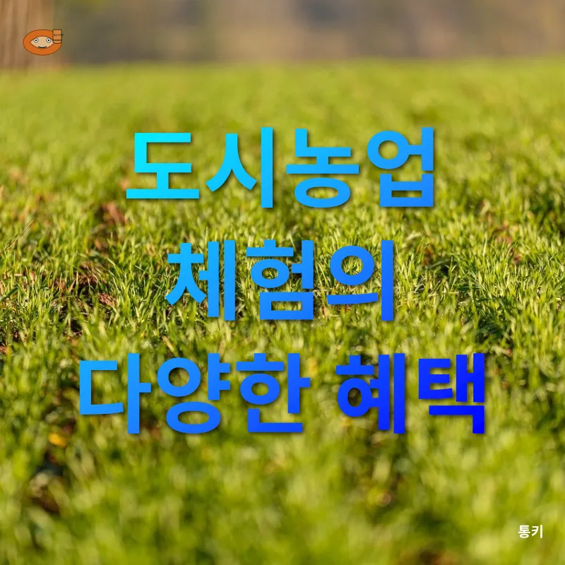 도시농업 체험_3