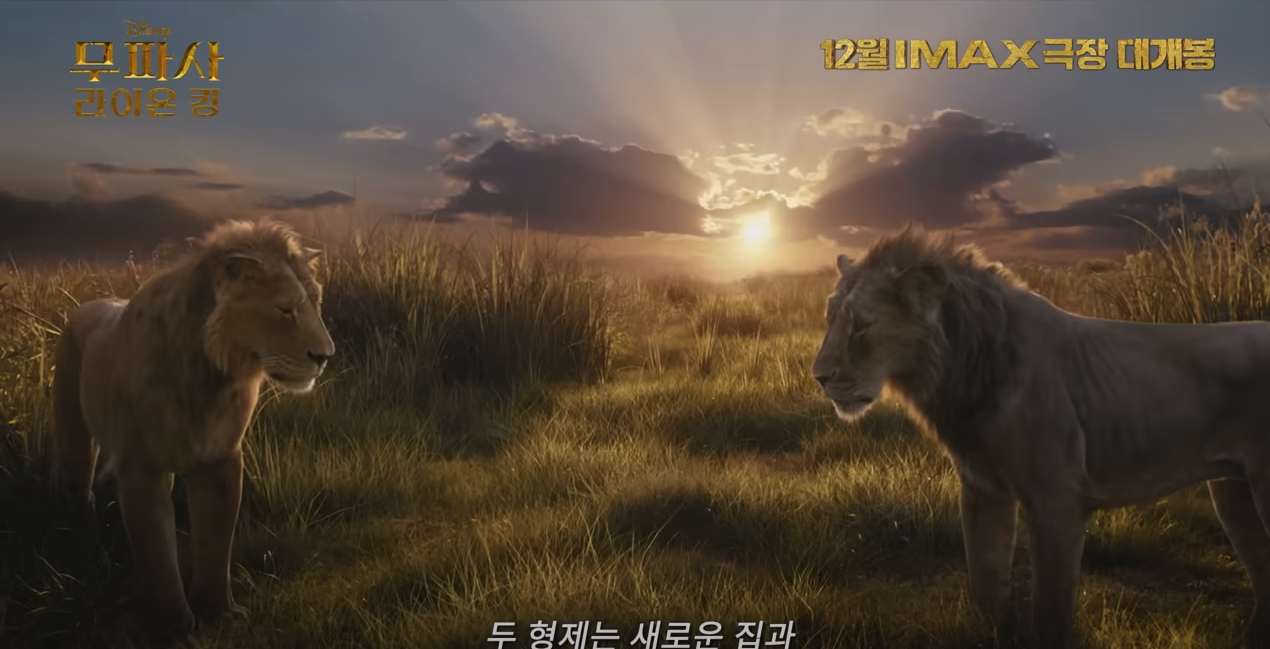 영화 무파사 줄거리, 비평, 반응