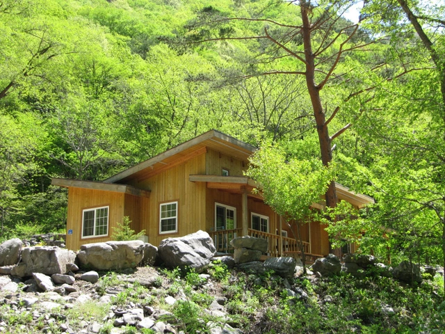 연립동