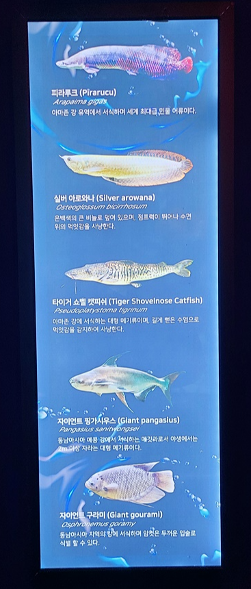 삼척-민물고기전시관