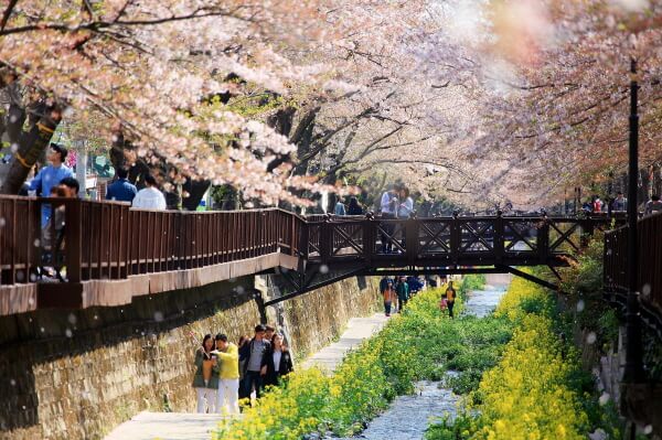2023 진해군항제축제