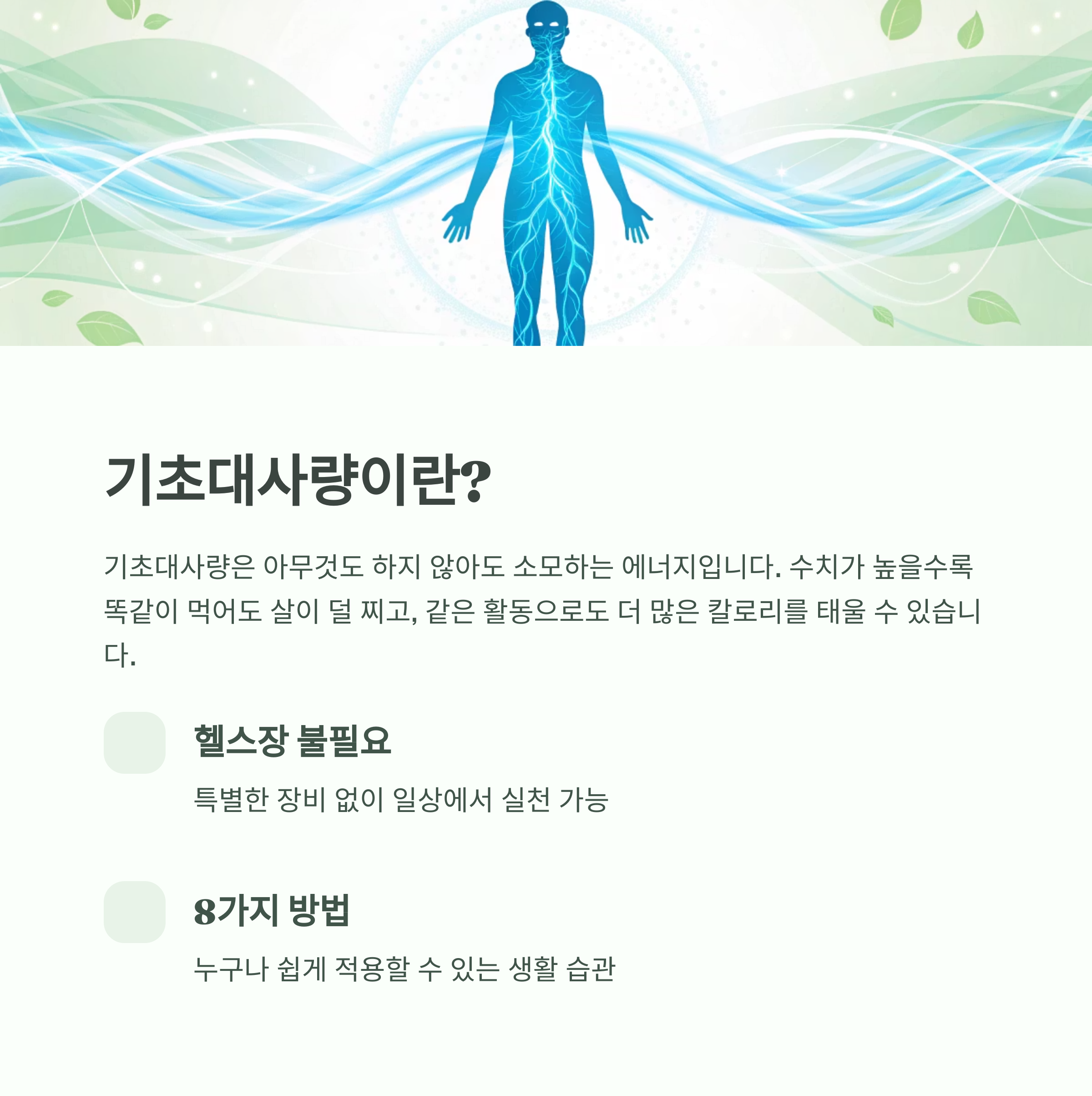 하루 200칼로리 더 태우는 비밀, 기초대사량 높이는 일상 습관 - 무리한 운동 없이도 가능한가요? 기초대사량은 일상 습관이 좌우합니다 하루 200칼로리 더 태우는 비밀, 기초대사량 높이는 일상 습관 - 무리한 운동 없이도 가능한가요? 기초대사량은 일상 습관이 좌우합니다