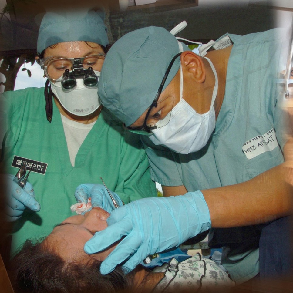 삼백초추출물관련 7