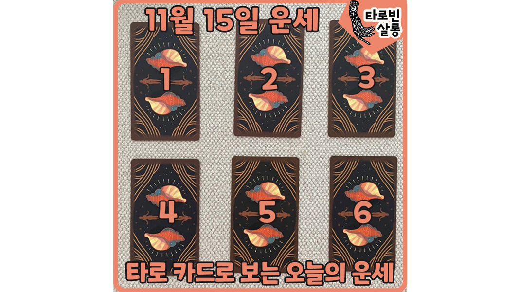  [11월 15일 운세] 타로 카드로 보는 365일 오늘의 운세