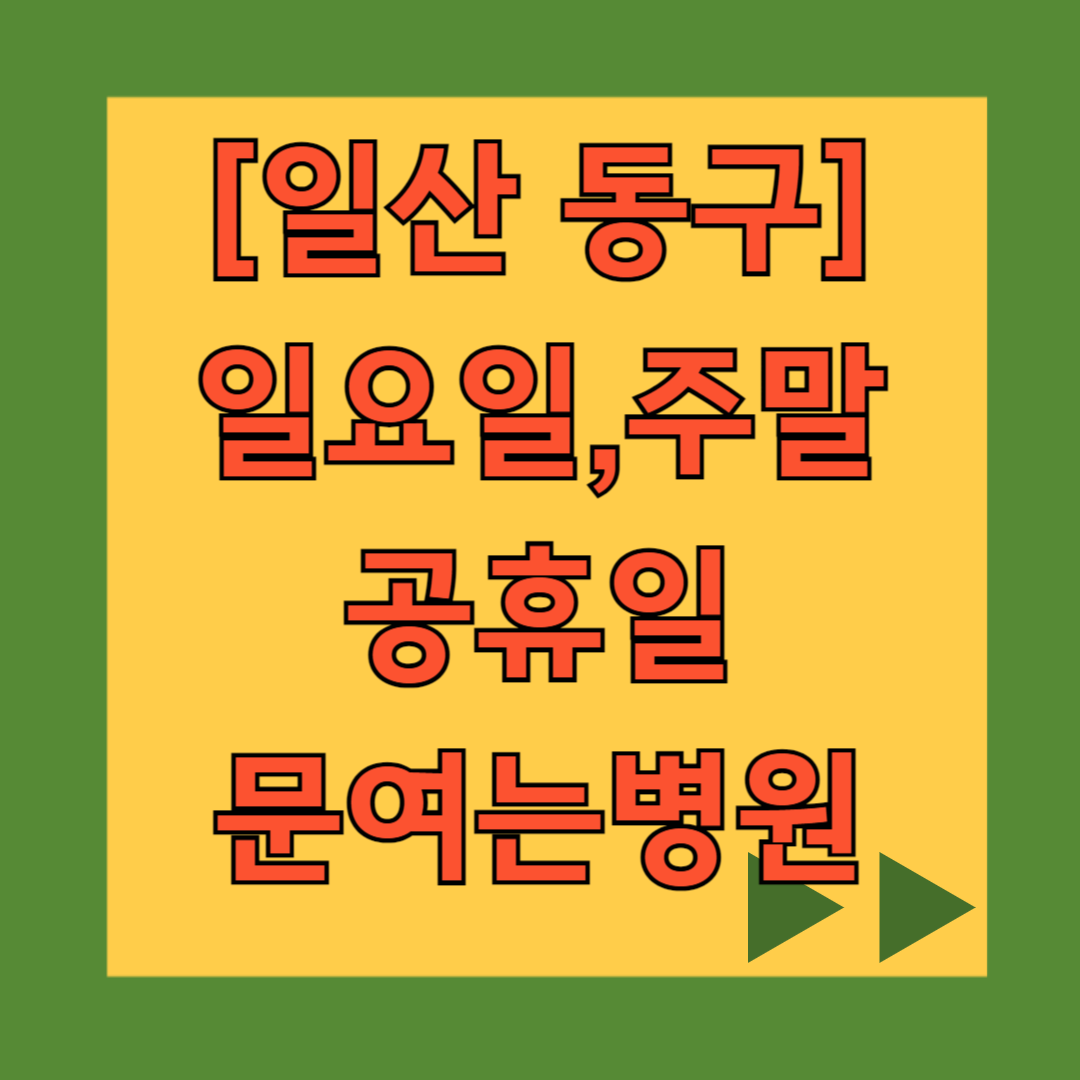 고양 일산동구 일요일 문 여는 병원 목록, 주말 공휴일 진료 병원 찾기, 24시 약국
