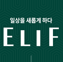  엘리프 세종 6-3 공공분양, 신혼희망타운 분양가 청약신청 당첨발표 정리