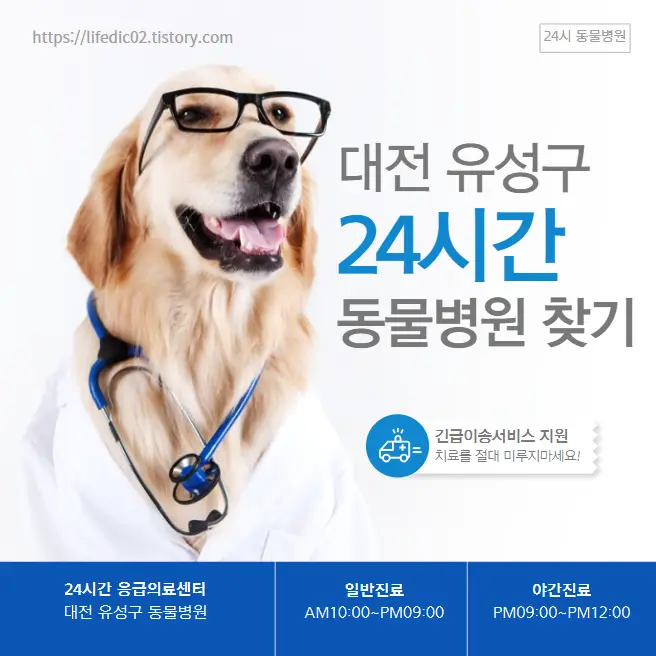  대전 유성구 24시간 동물병원 근처 야간 일요일 고양이 병원 36곳