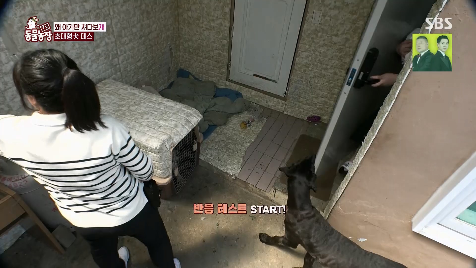 TV 동물농장.E1120.230514p.H264-F1RST.mp4_20230515_203542.216.jpg
