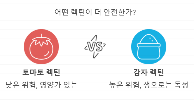 토마토 렉틴과 감자 렉틴