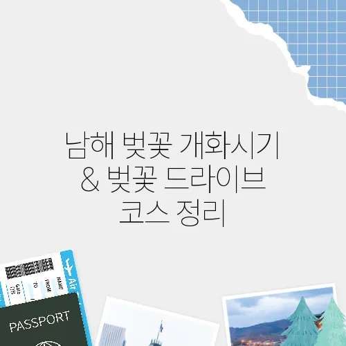 남해 벚꽃 개화시기 & 벚꽃 드라이브 코스 정리
