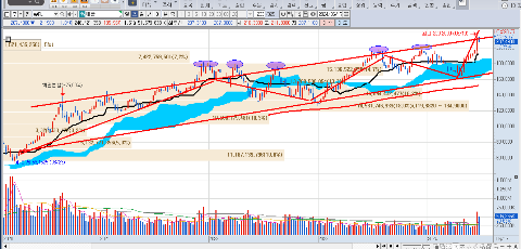 애플-AAPL-주봉-차트