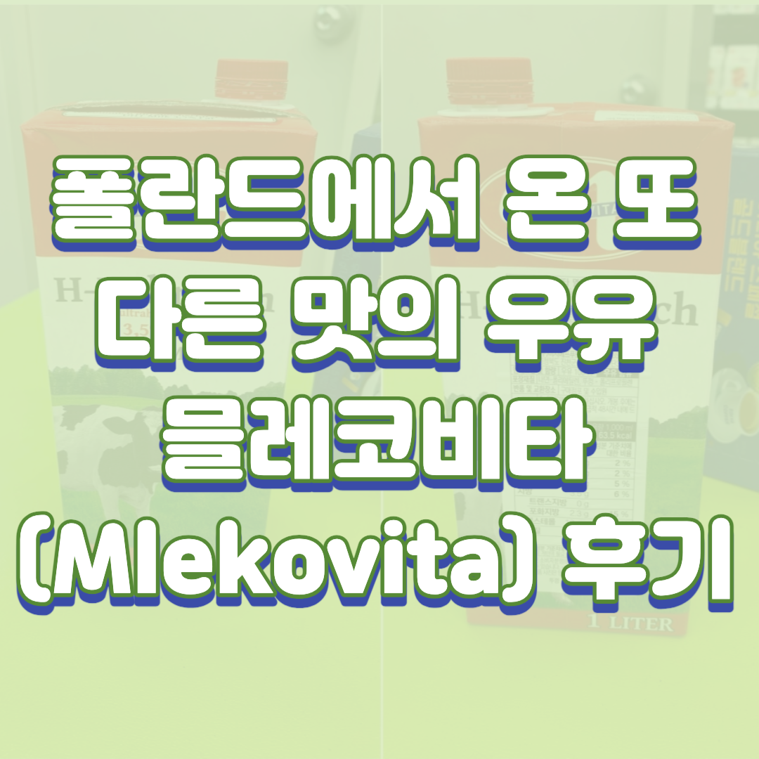  폴란드에서 온 또 다른 맛의 우유, 믈레코비타(Mlekovita) 후기