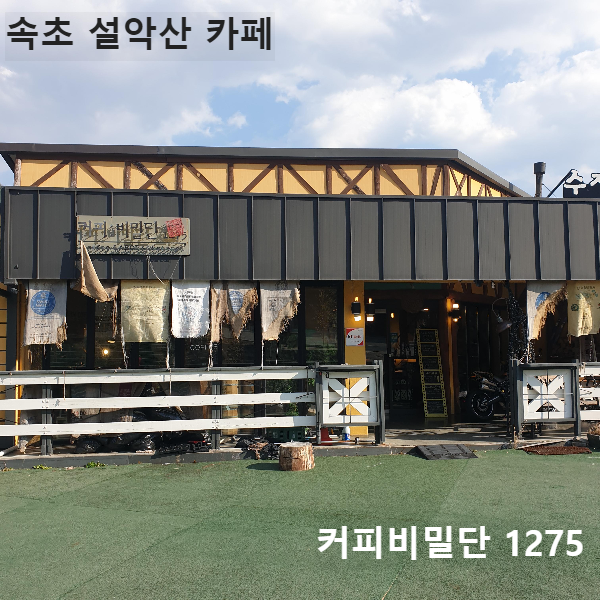 속초 설악산 카페 커피 비밀단 1275_매장 전경