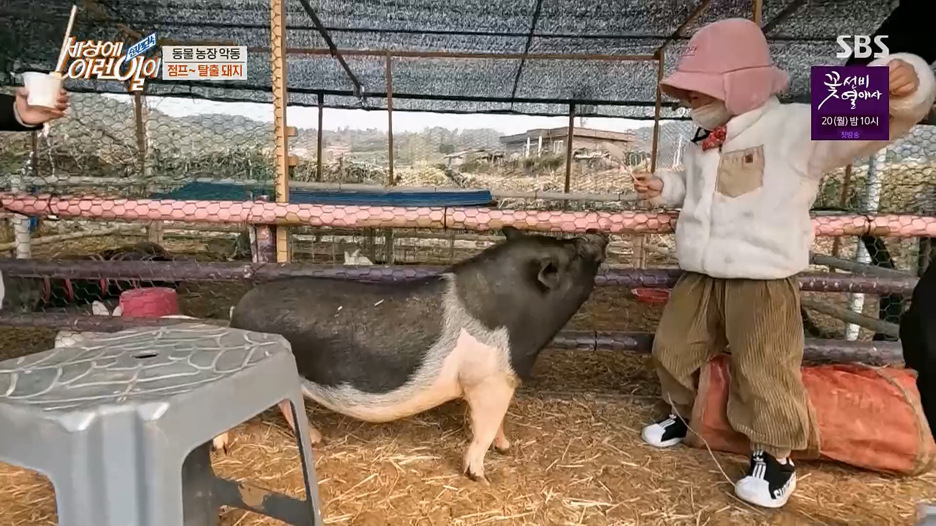 순간포착 세상에 이런일이.E1221.230314p.H264-F1RST.mp4_20230315_141008.466.jpg