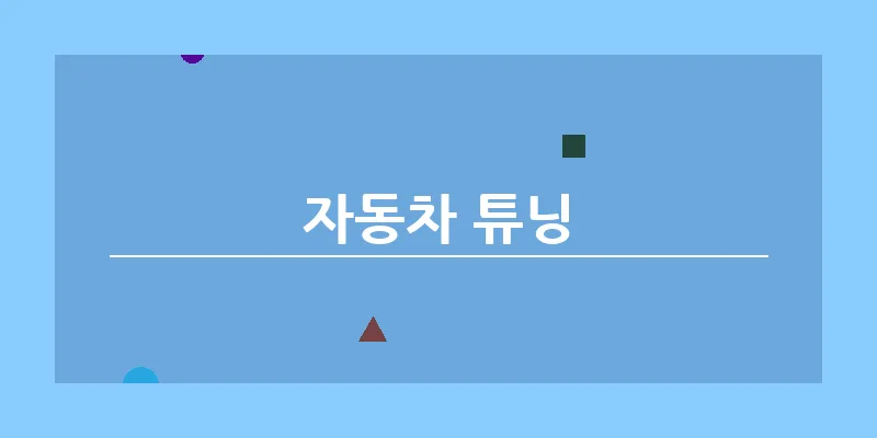 자동차 튜닝_19