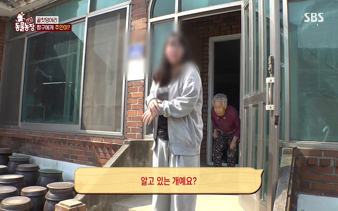 TV 동물농장.E1068.220509p-NEXT.mp4_20220508_173833.251.jpg