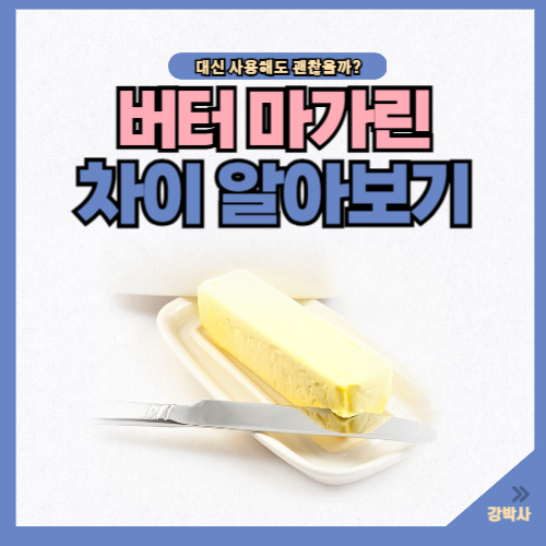 버터 마가린 차이 알아보기